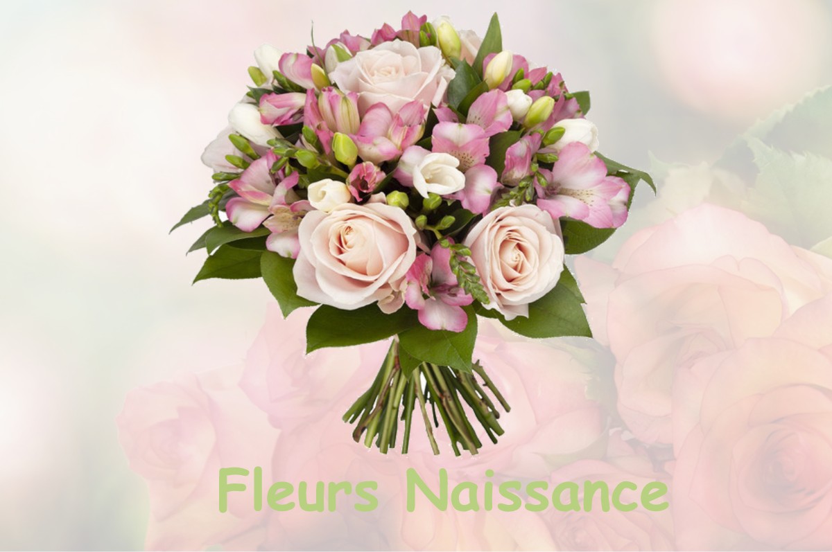 fleurs naissance MOURVILLES-BASSES