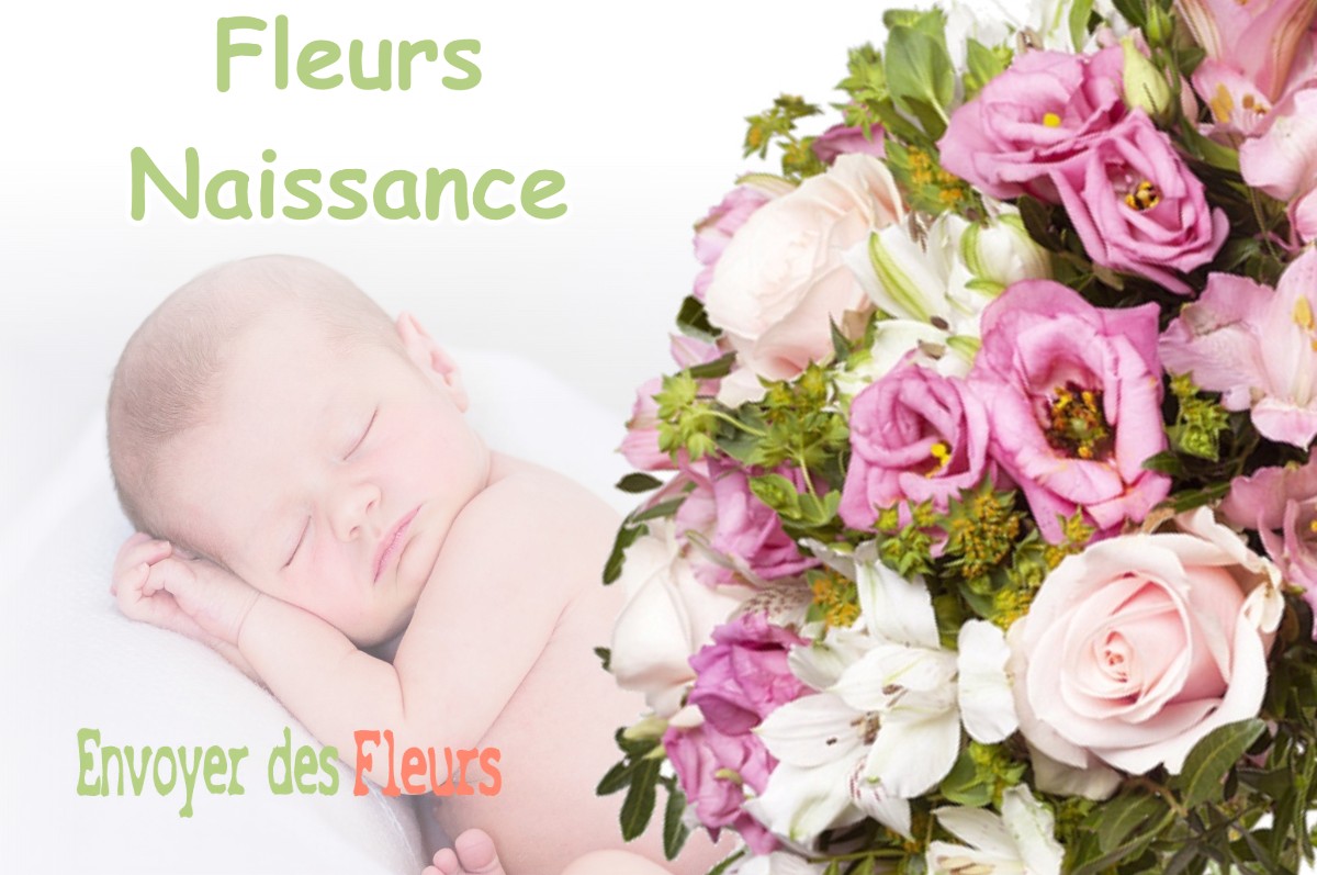 lIVRAISON FLEURS NAISSANCE à MOURVILLES-BASSES